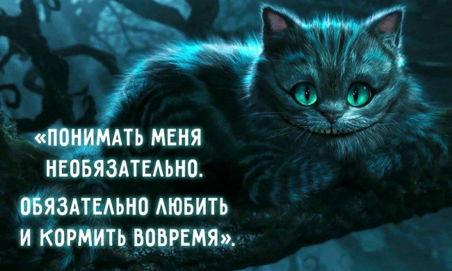 понимать меня необязательно